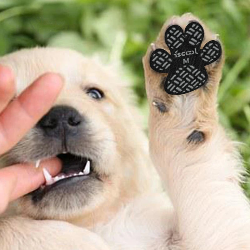 Premium Anti-Slip Dog Paw Grips System