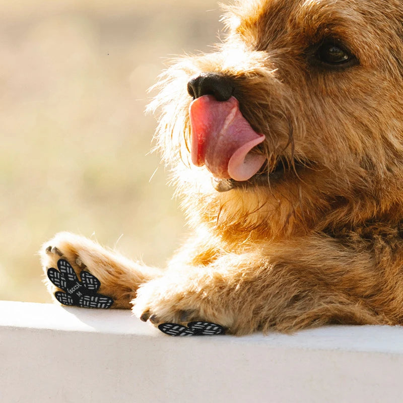 Premium Anti-Slip Dog Paw Grips System